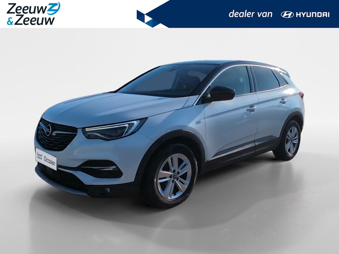 Opel Grandland X - 1.2 Turbo Business Executive 1.2 Turbo Business Executive - AutoWereld.nl