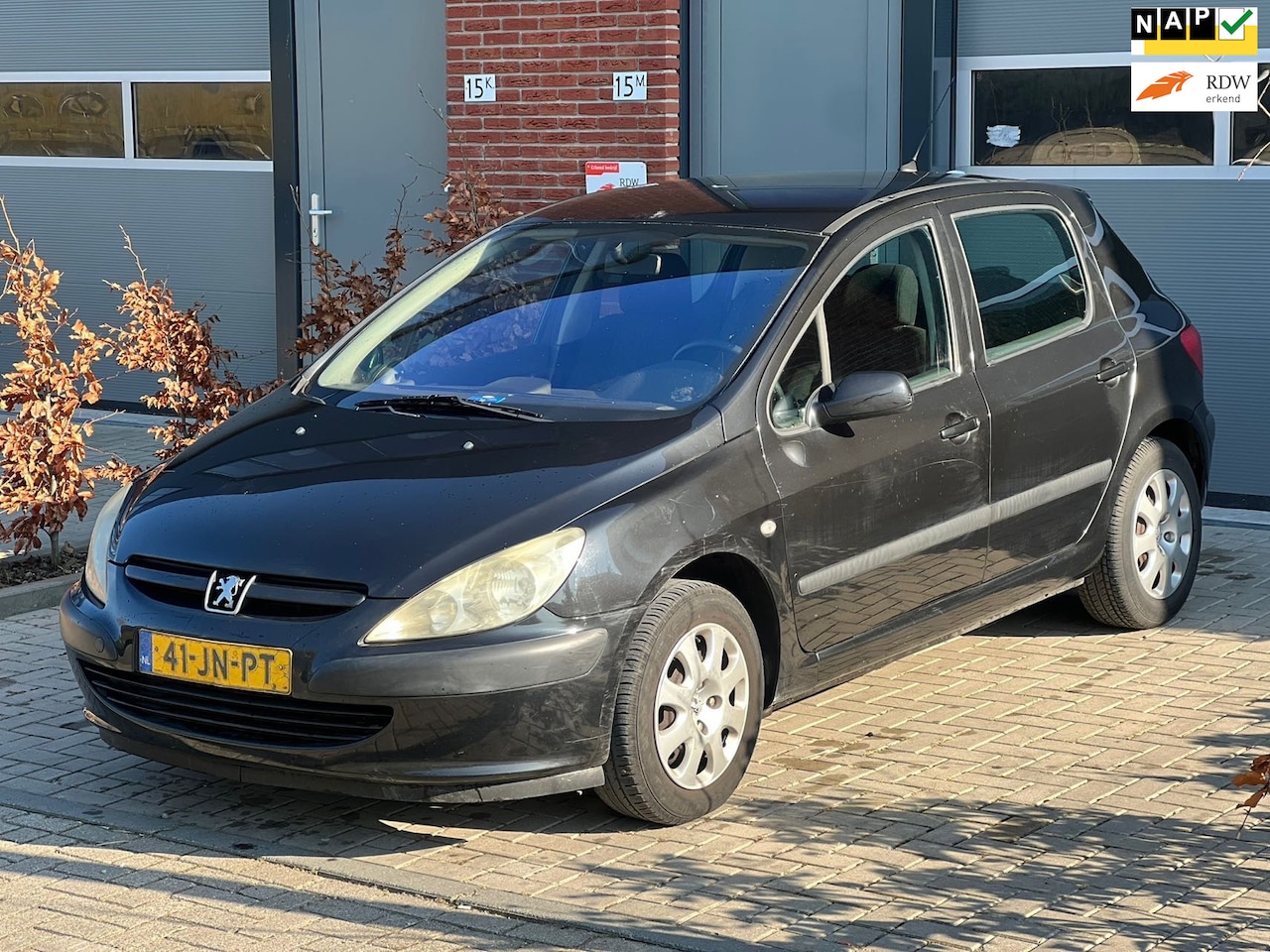 Peugeot 307 - 1.6-16V XS 1.6-16V XS - AutoWereld.nl