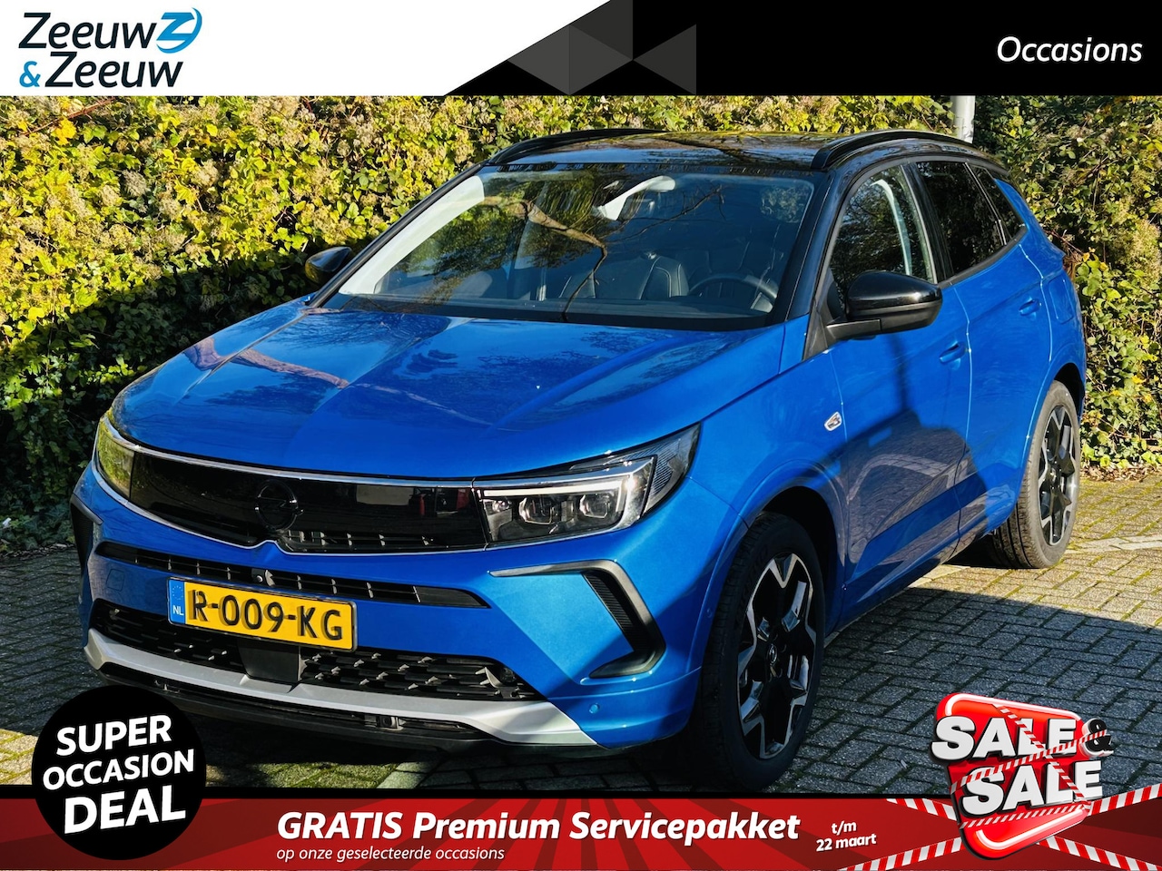 Opel Grandland - 1.6 Turbo Hybrid Business Edition automaat , Winter-pakket , Apple Carplay/Android Auto , - AutoWereld.nl