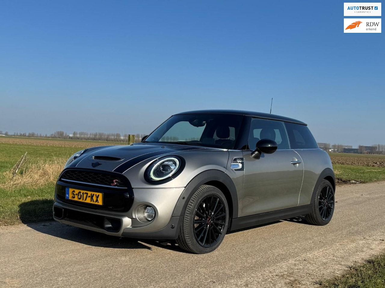 MINI Cooper S - Mini 2.0 Pano, headup, Led, PDC, DAB, Cruisecontrol - AutoWereld.nl