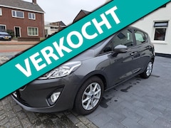 Ford Fiesta - 1.0 ECOBOOST TITANIUM NIEUWE DIST.RIEM NIEUWSTAAT ALLE EXTRA'S