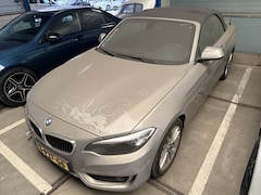 BMW 2-serie Cabrio - 228i High Executive motor defect