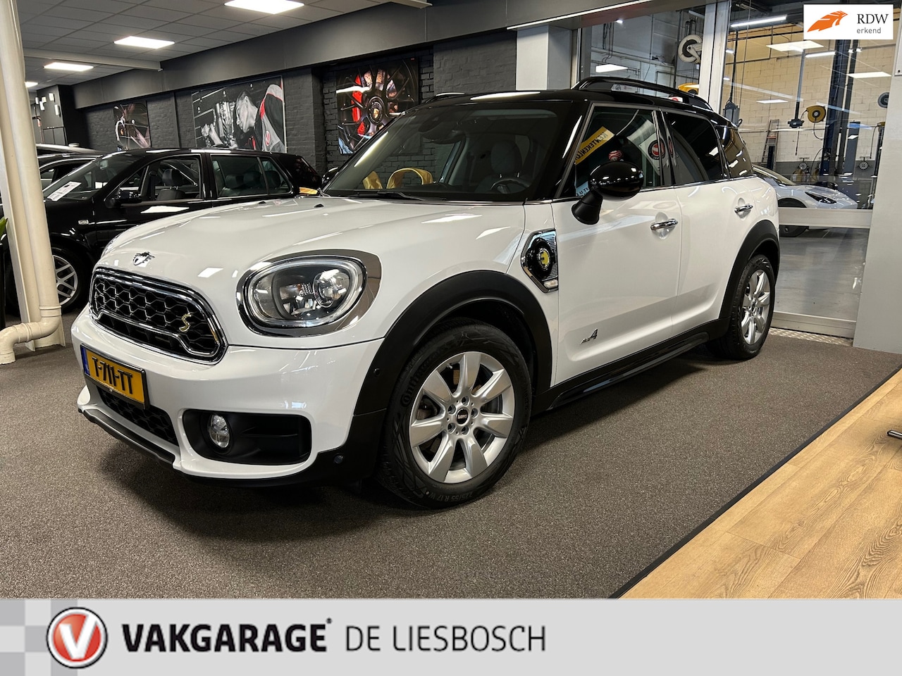 MINI Countryman - Mini 2.0 Cooper S E ALL4 Chili / Airco / PDC / Navigatie / - AutoWereld.nl