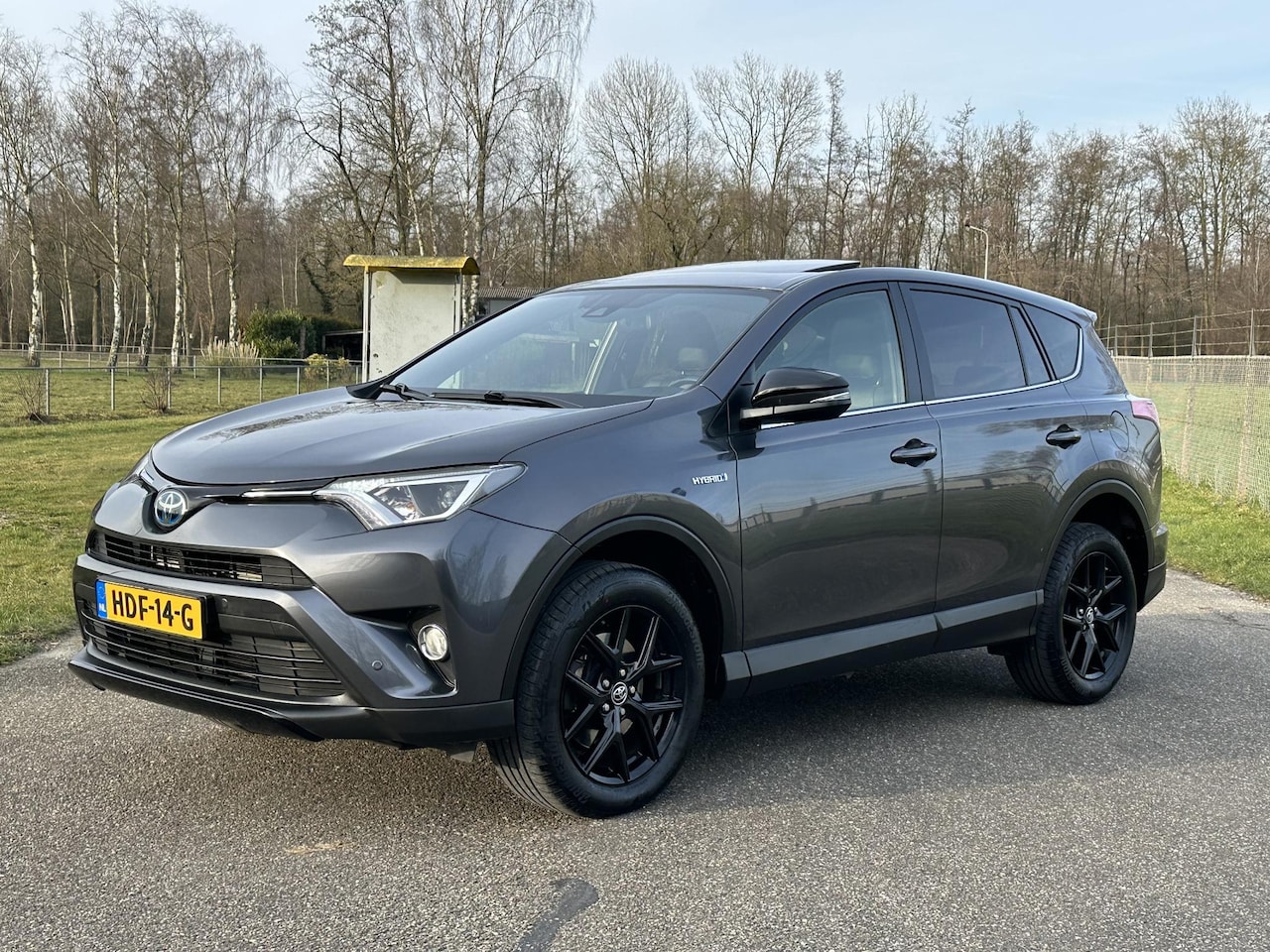 Toyota RAV4 - 2.5 Hybrid AWD Executive Black Edition, Automaat, Navi, Camera, Schuifdak! - AutoWereld.nl