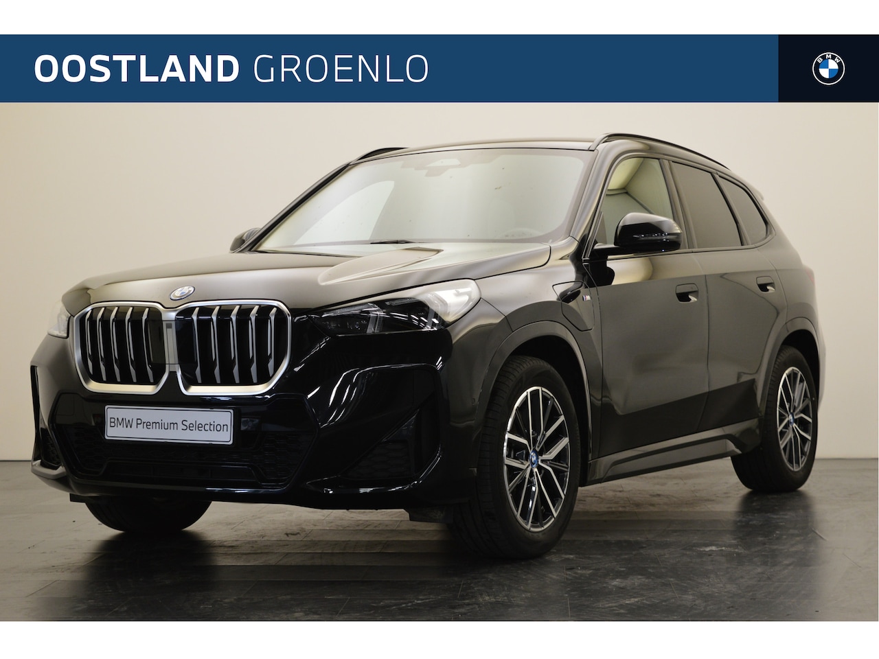 BMW X1 - xDrive25e High Executive M Sport Automaat / Trekhaak / Sportstoelen / Stoelverwarming / Ad - AutoWereld.nl