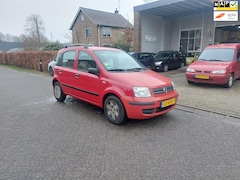 Fiat Panda - 1.2 Edizione Cool