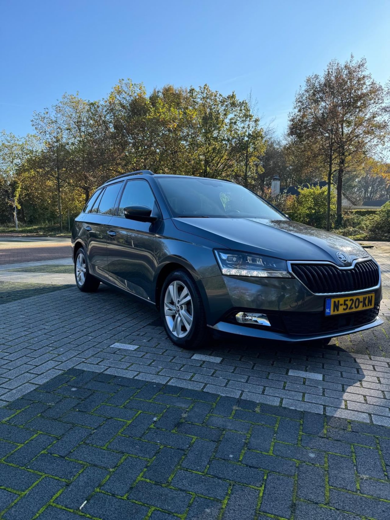 Skoda Fabia Combi - 1.0 TSI Style 1.0 TSI Style - AutoWereld.nl