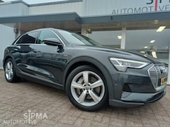 Audi e-tron - 55 quattro 95 kWh/121dkm/Led/Navi/Camera/Leder