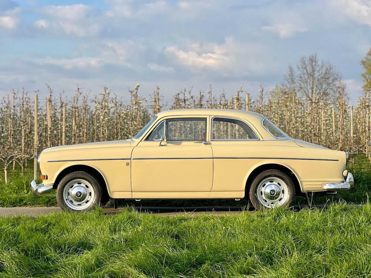 Volvo Amazon - 122S Automaat, vers gespoten, dubbele SU, zeldzaam - AutoWereld.nl