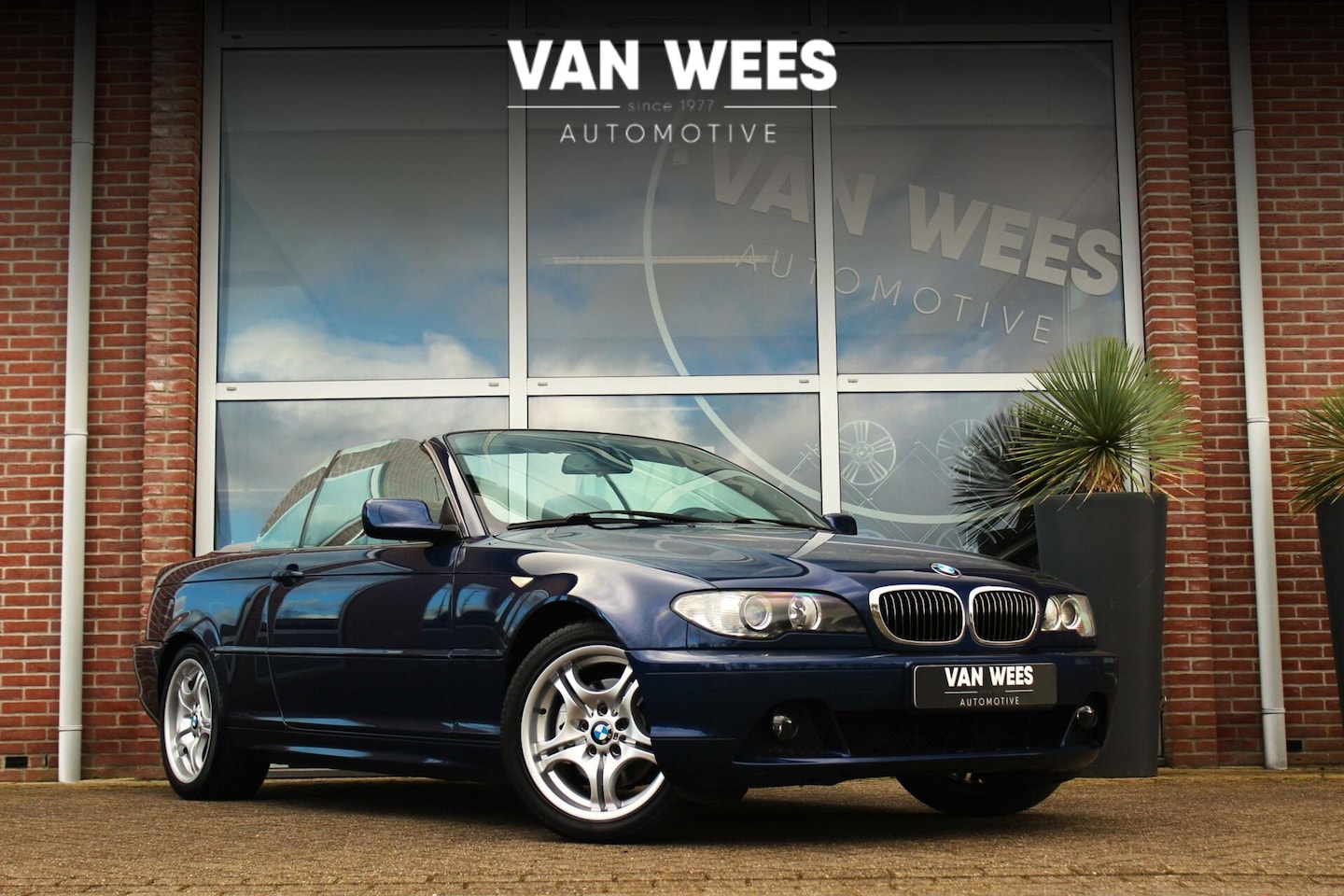 BMW 3-serie Cabrio - 320Ci E46 Executive Facelift | 170 pk | Automaat | Leer | Navi | PDC | 17 inch | Sportstuu - AutoWereld.nl