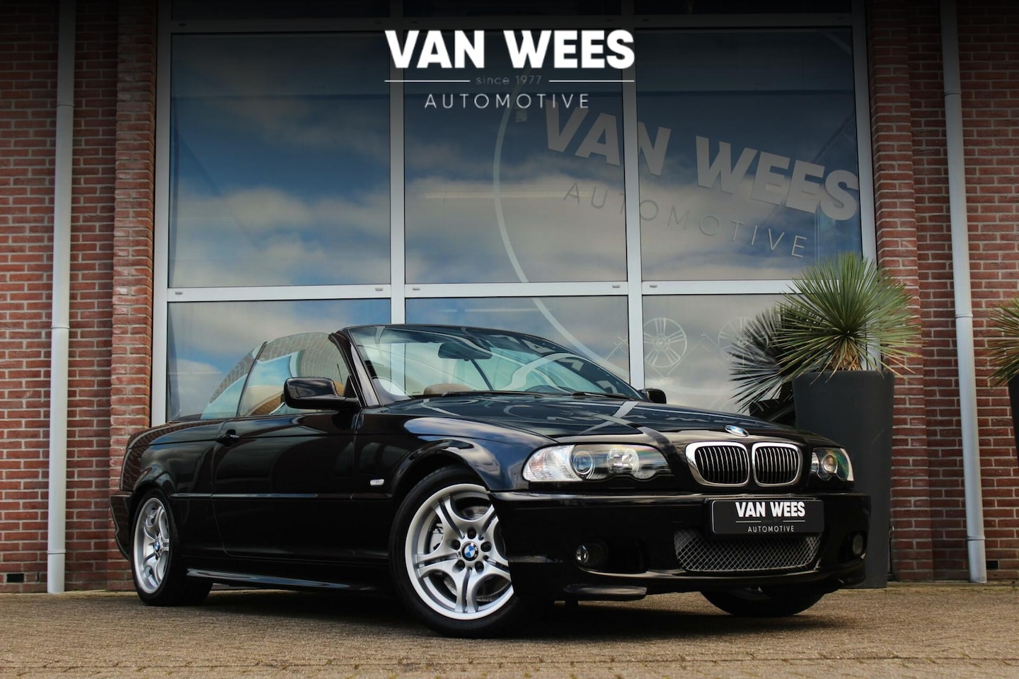 BMW 3-serie Cabrio - 330Ci E46 Executive M-pakket | 231 pk | Handbak | Sportstoelen | Xenon | Navi | Harman-kar - AutoWereld.nl