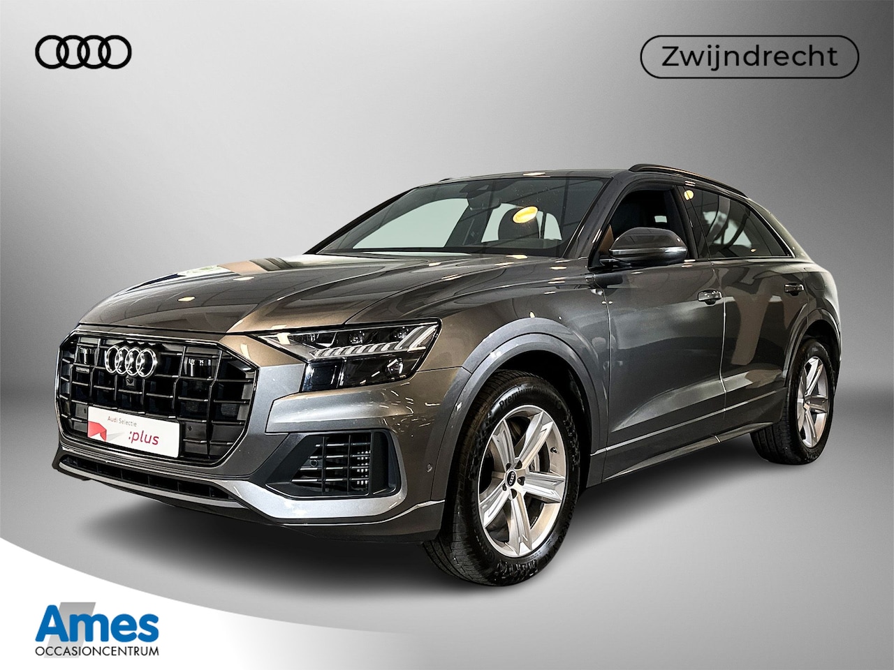 Audi Q8 - 55 340pk TFSI e quattro Pro Line Plus / Assistentiepakket Tour - City - Parking plus / Mat - AutoWereld.nl