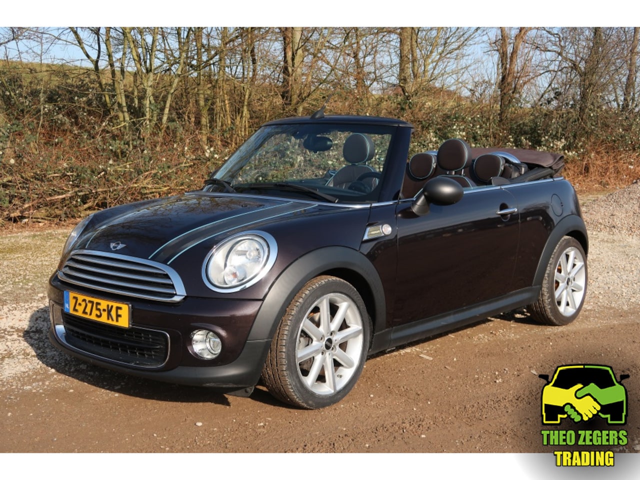 MINI Cabrio - Mini 1.6 HighGate Leder, PDC - AutoWereld.nl