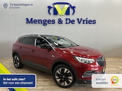 Opel Grandland X - 1.2 Turbo Business Executive Airco ECC | Two Tone | Trekhaak | Camera | Denon | Cruise Con