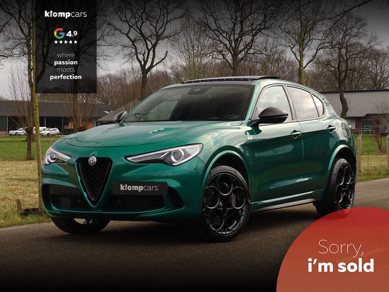 Alfa Romeo Stelvio - 2.9 V6 AWD Q | Verde Montreal | Dak | Akra | BTW | 21inch | Bellissimo! - AutoWereld.nl