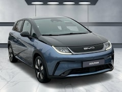 BYD DOLPHIN - DESIGN 60 KWH