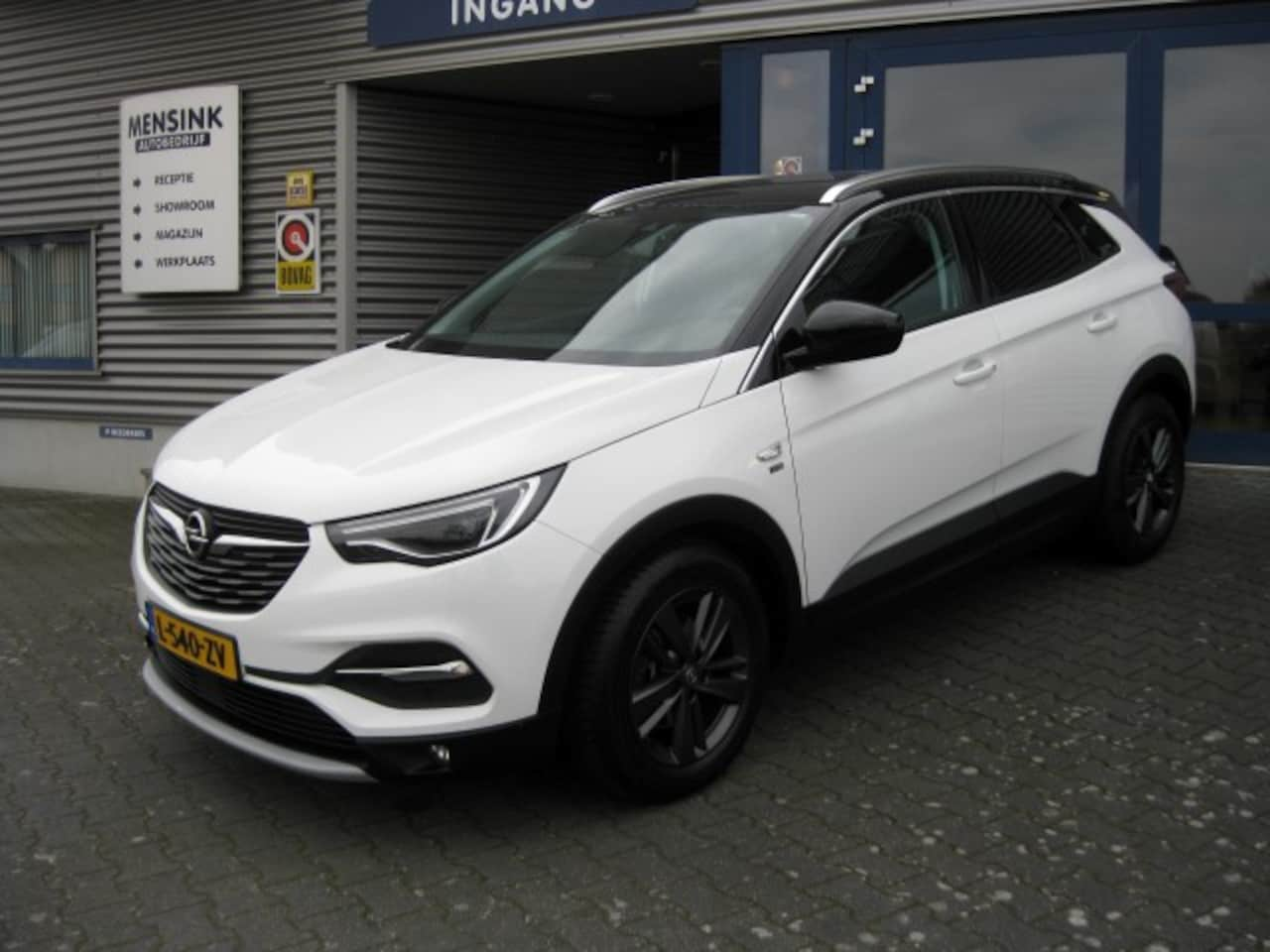 Opel Grandland X - 1.2 Turbo 130pk S&amp;S 120 Jaar Edition - AutoWereld.nl