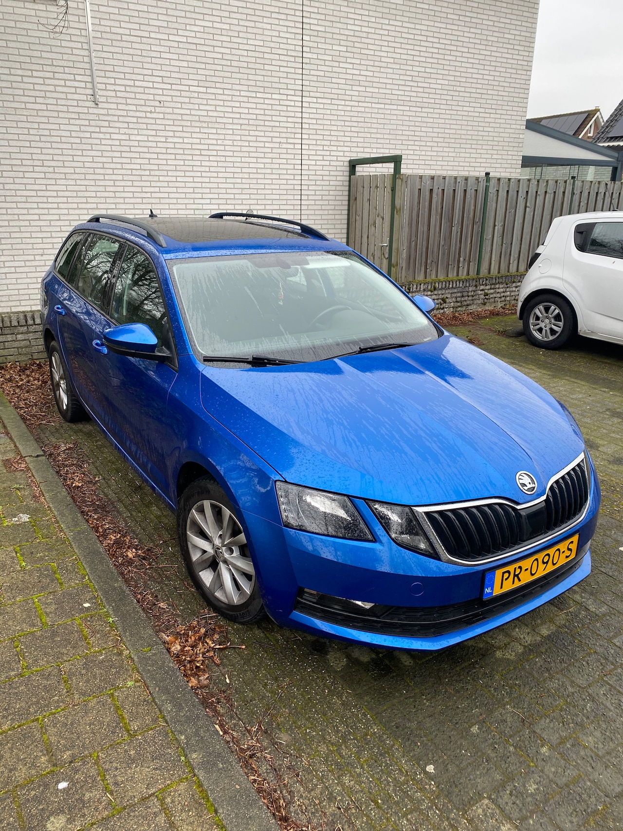 Skoda Octavia Combi - 1.0 TSI Greentech Ambition Business - AutoWereld.nl