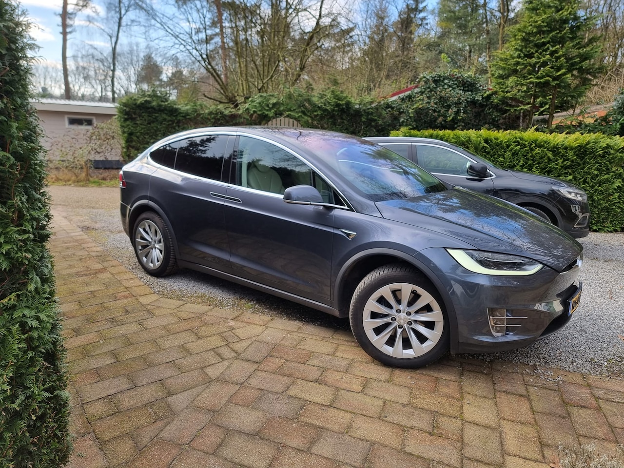 Tesla Model X - 100D - AutoWereld.nl