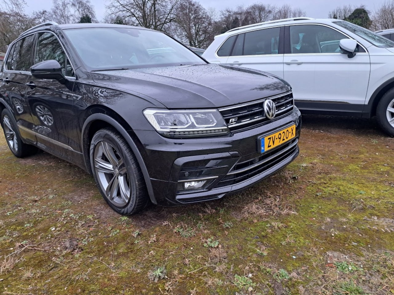 Volkswagen Tiguan - 1.5 TSI 131 Pk R-Line Digital Cockpit, Ecc, Pdc - AutoWereld.nl