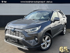 Toyota RAV4 - 2.5 Hybrid Executive 2WD Navigatie, Stoelverwarming, Lederen bekleding, Dodehoekdetectie,