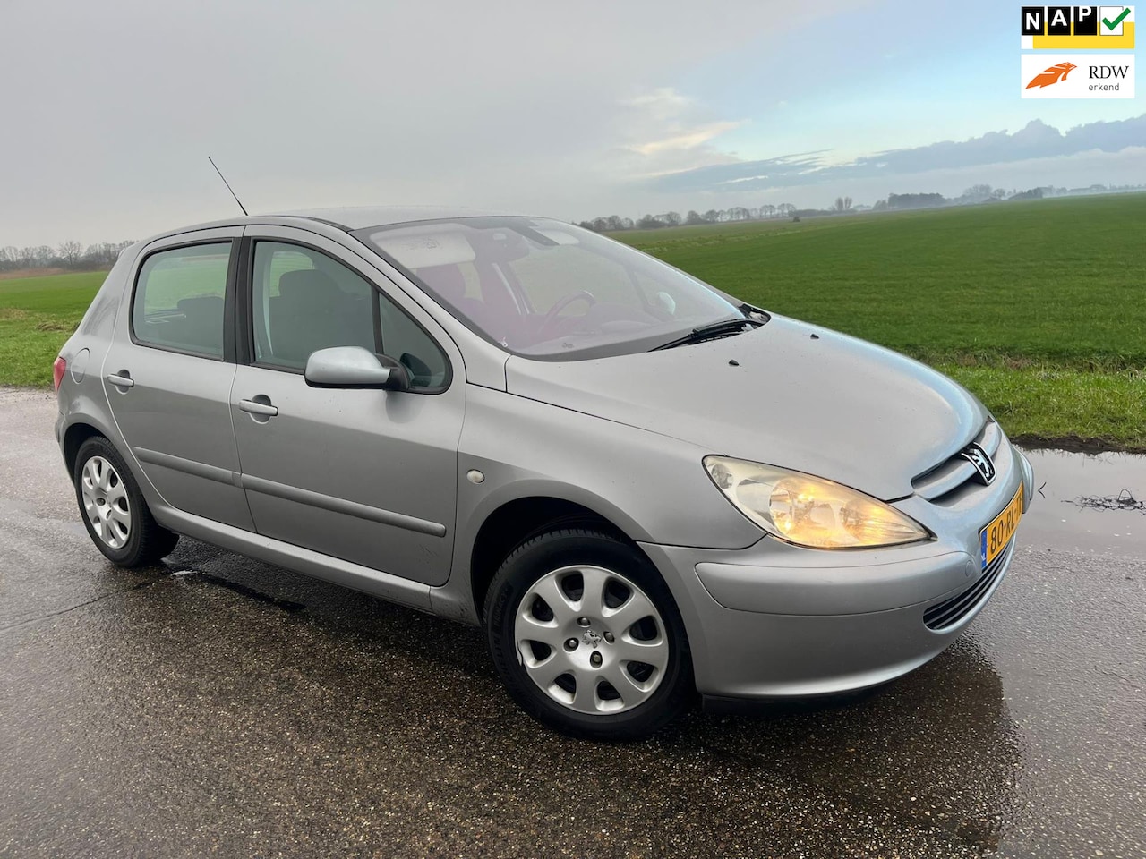 Peugeot 307 - 1.6-16V XS Premium / 98.000 nap - AutoWereld.nl