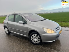 Peugeot 307 - 1.6-16V XS Premium / 98.000 nap