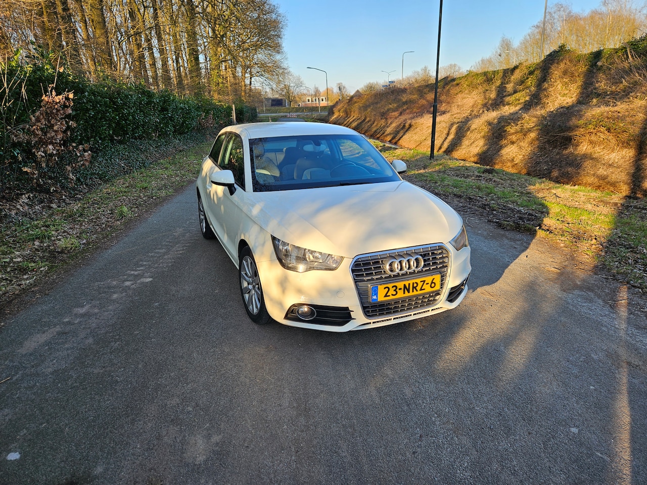 Audi A1 - 1.2 TFSI Ambition Pro Line Business - AutoWereld.nl