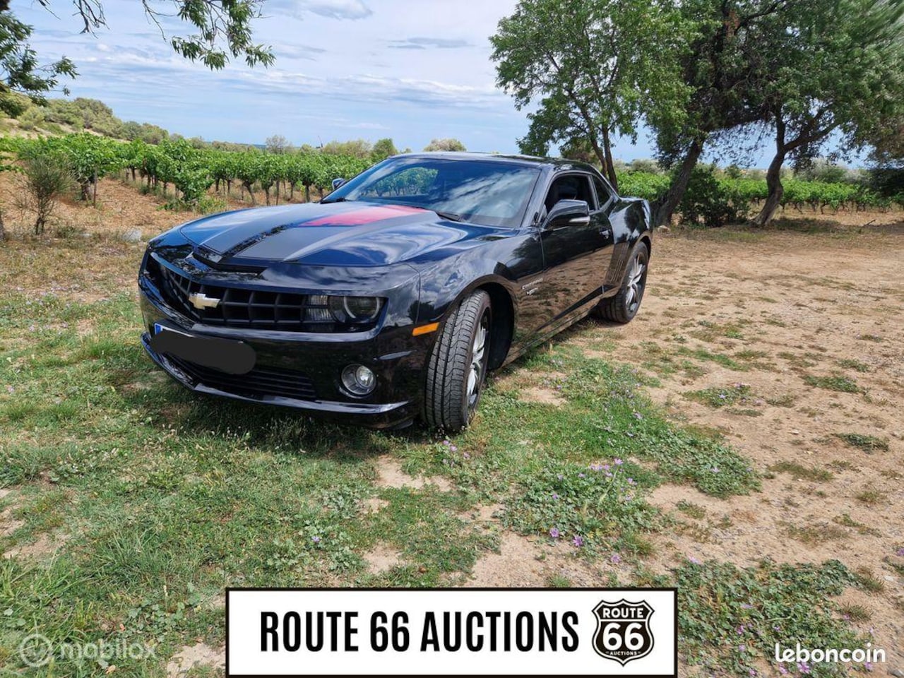 Chevrolet Camaro - SS 45th anniversary 2012| Route 66 auctions - AutoWereld.nl