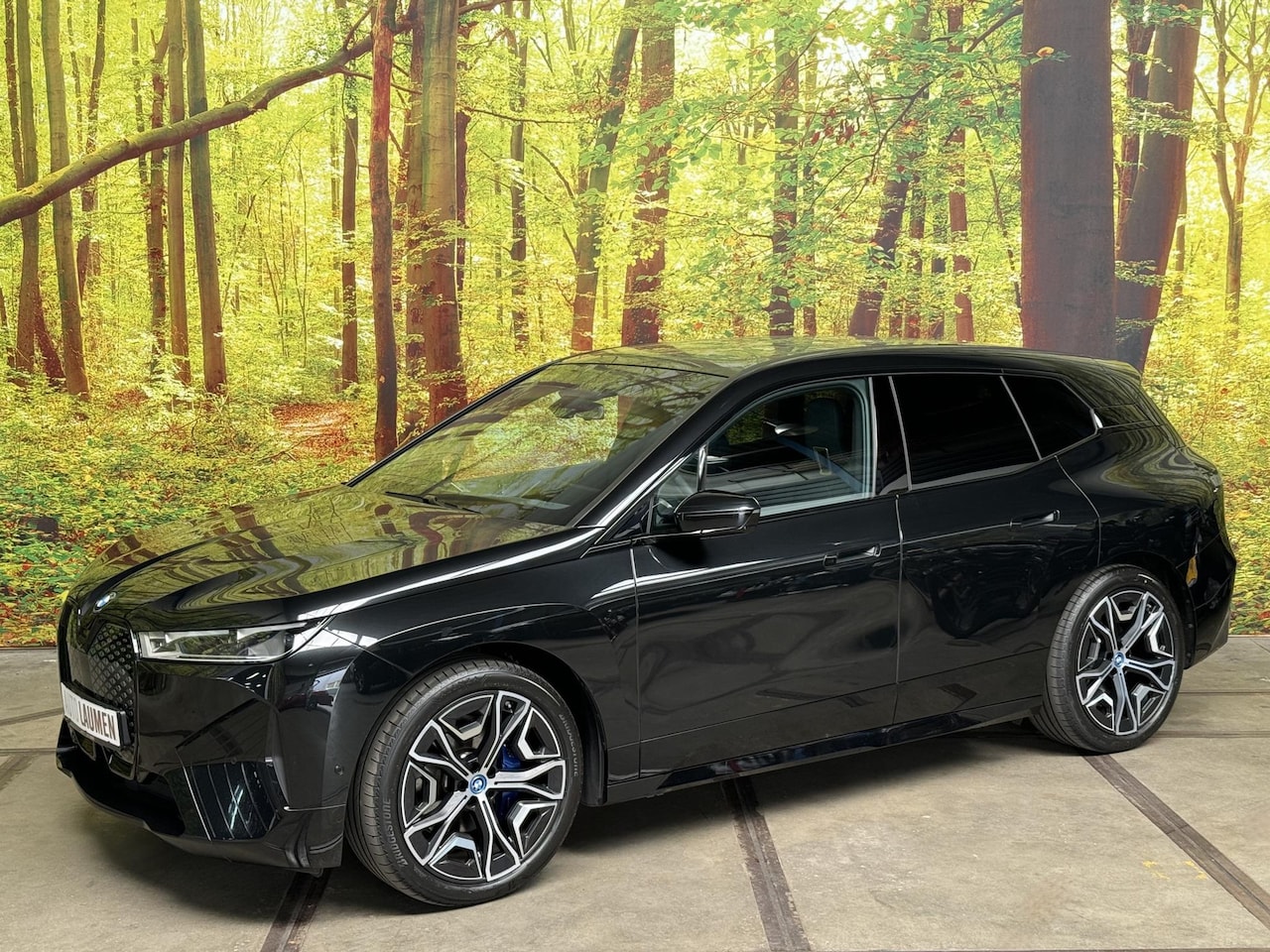 BMW iX - xDrive40 Excellence 77 kWh Full Electric Skylounge LaserLed Leder 22 Inch Harman Kardon Tr - AutoWereld.nl