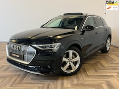 Audi e-tron - 50 quattro launch edition plus, PANO, INCL BTW