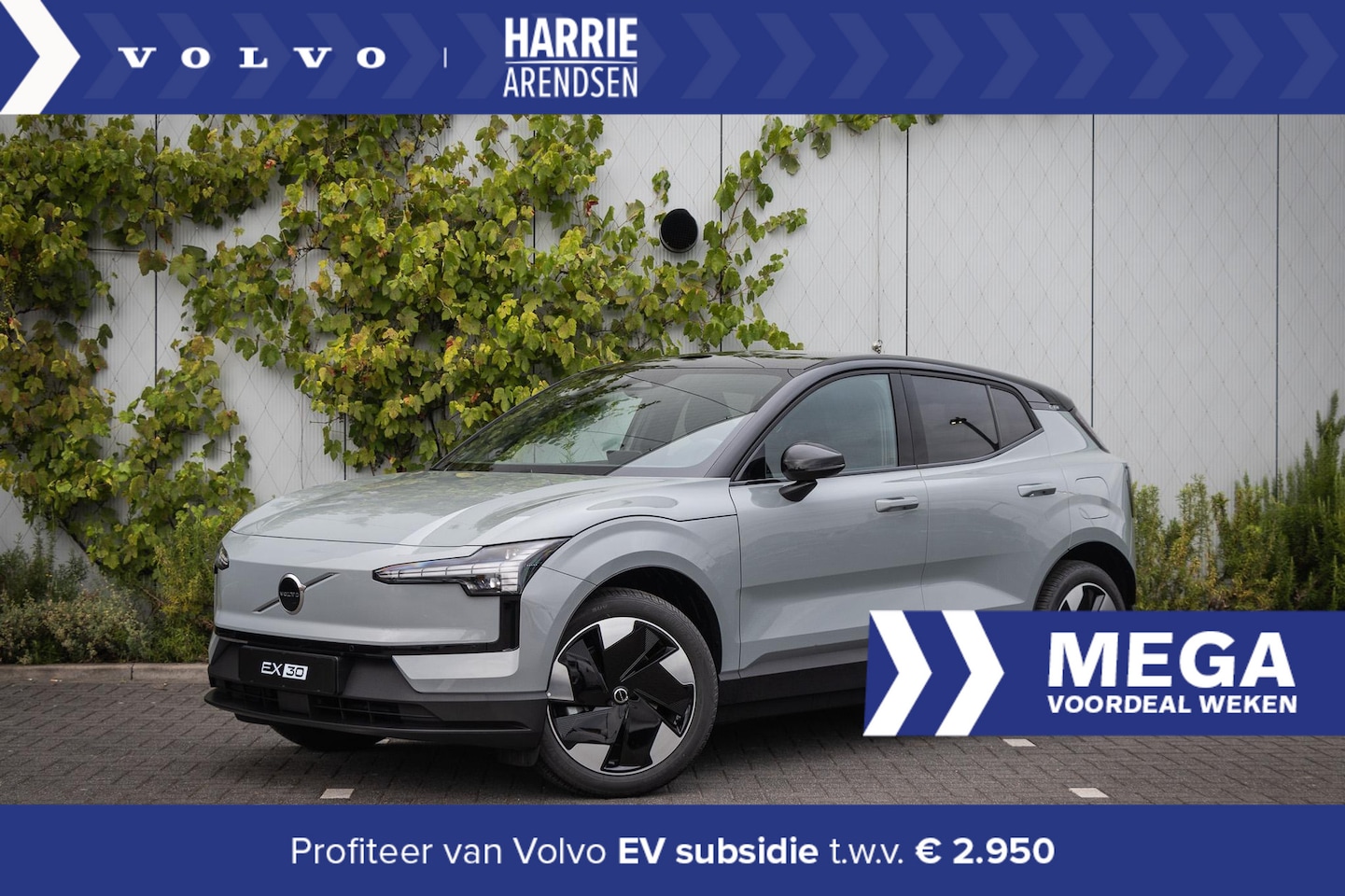 Volvo EX30 - Twin Motor Performance Plus 69 kWh | Keyless | Stoel + stuurverwarming | Harman Kardon aud - AutoWereld.nl