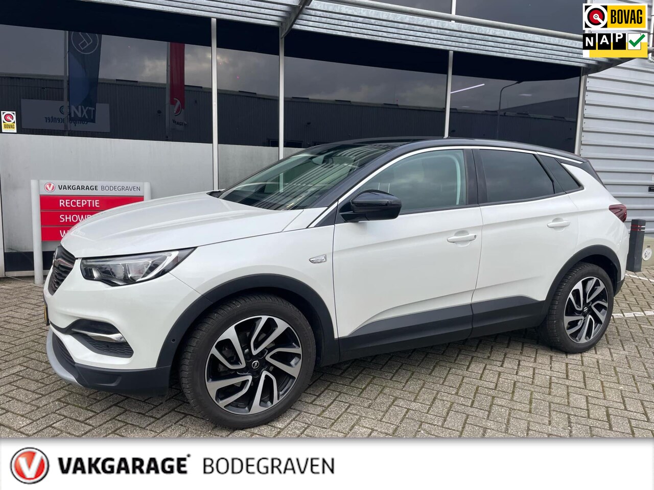 Opel Grandland X - 1.2 Turbo Business Executive / camera - AutoWereld.nl