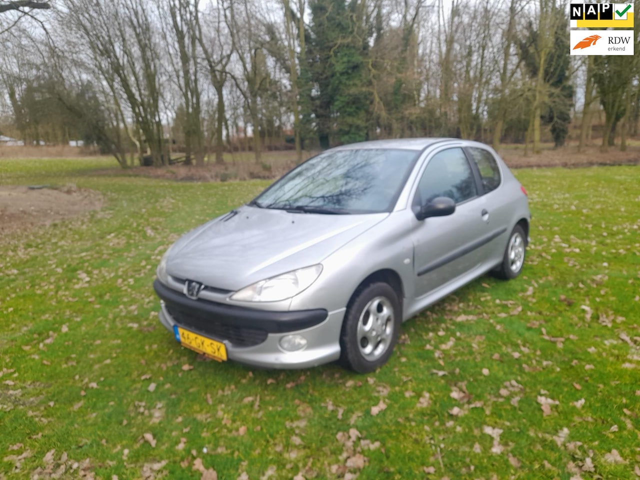 Peugeot 206 - 1.4 XS 1.4 XS - AutoWereld.nl