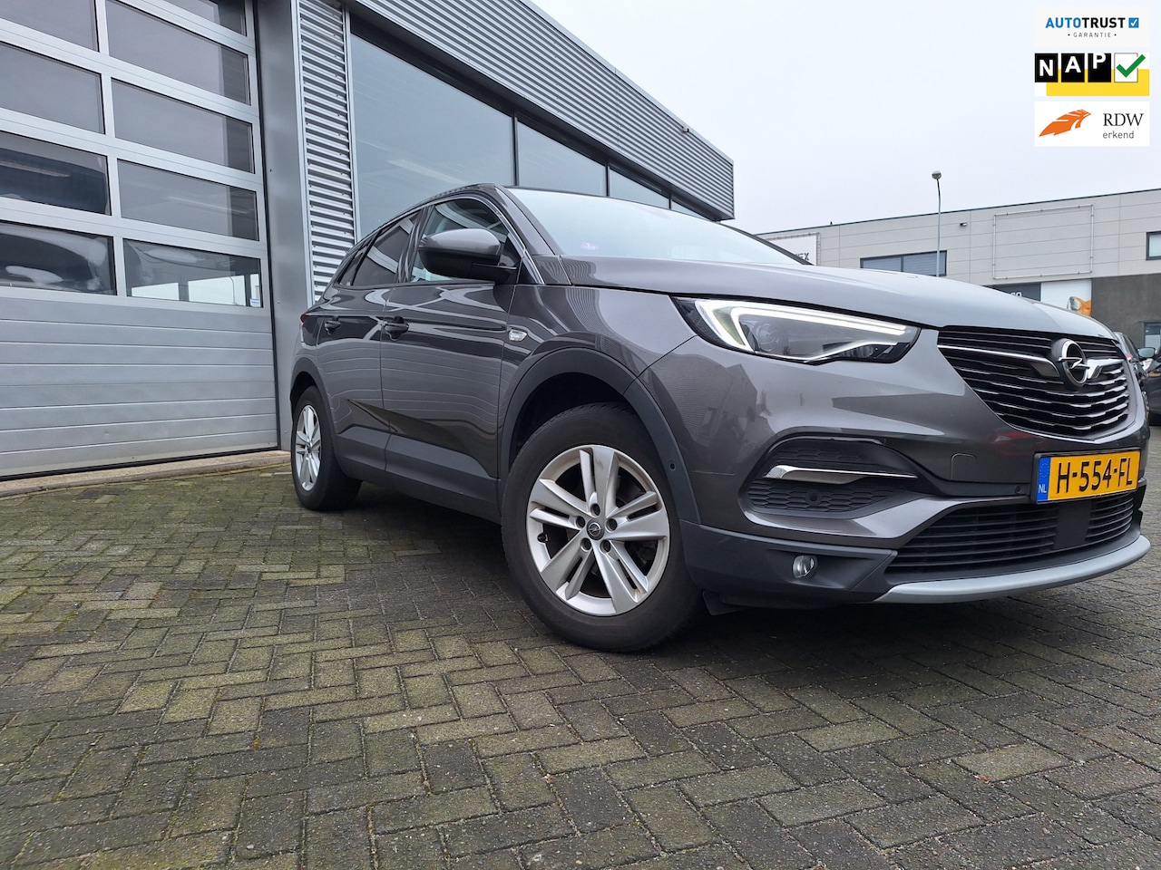 Opel Grandland X - 1.2 Turbo Business Executive*NIEUW BINNEN*nog poetsen**Sportstoelen*Ecc*Navigatie*Pdc*Trek - AutoWereld.nl