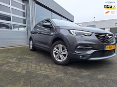 Opel Grandland X - 1.2 Turbo Business Executive*NIEUW BINNEN*nog poetsen*Sportstoelen*Ecc*Navigatie*Pdc*Trekh