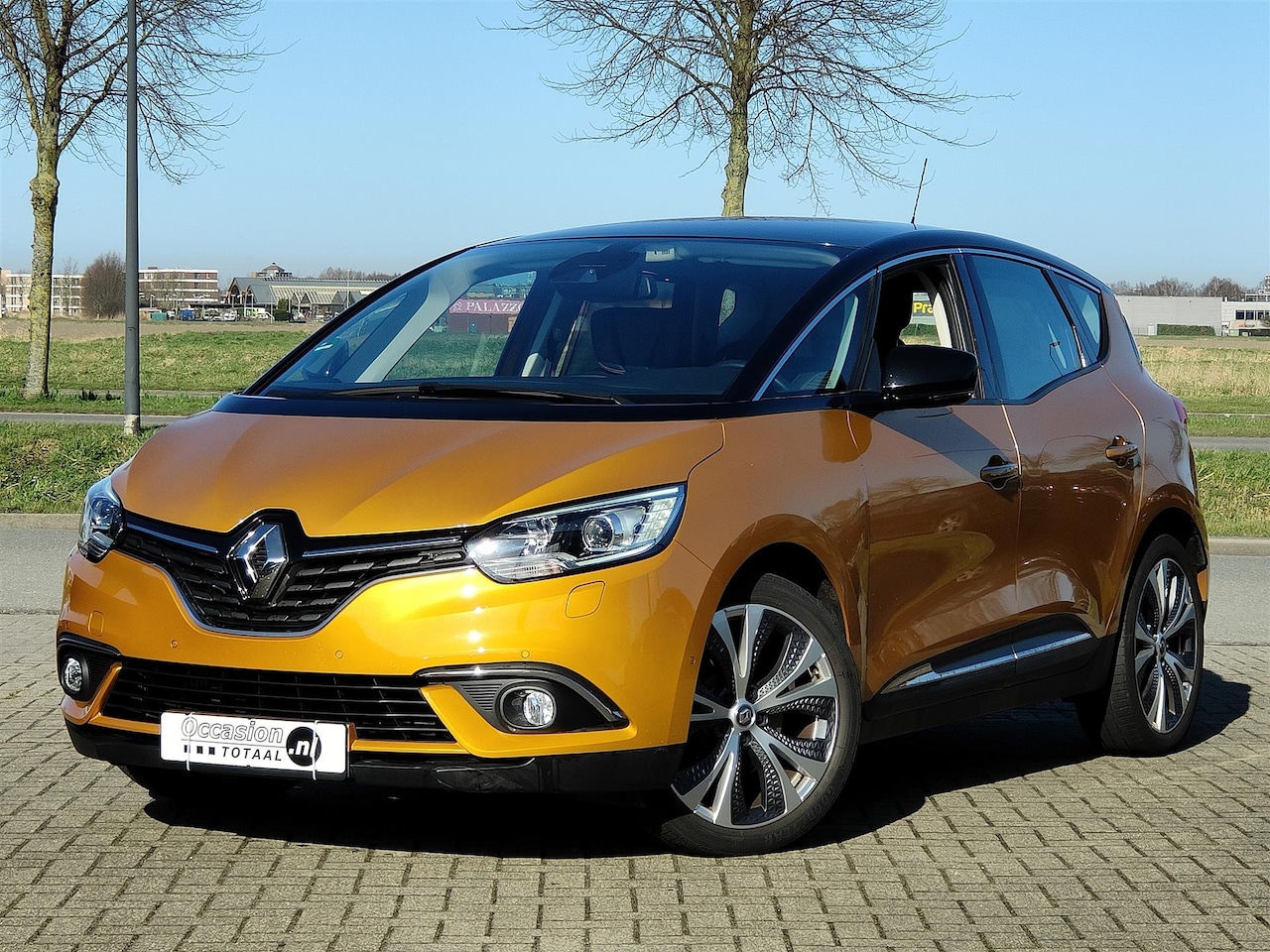 Renault Scénic - 1.2 TCe Intens | Camera | DAB | Stoelverwarming | Massage stoel - AutoWereld.nl