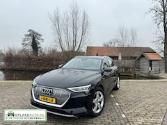 Audi e-tron - 50 quattro edition Plus 71 kWh | Pano | trekhaak