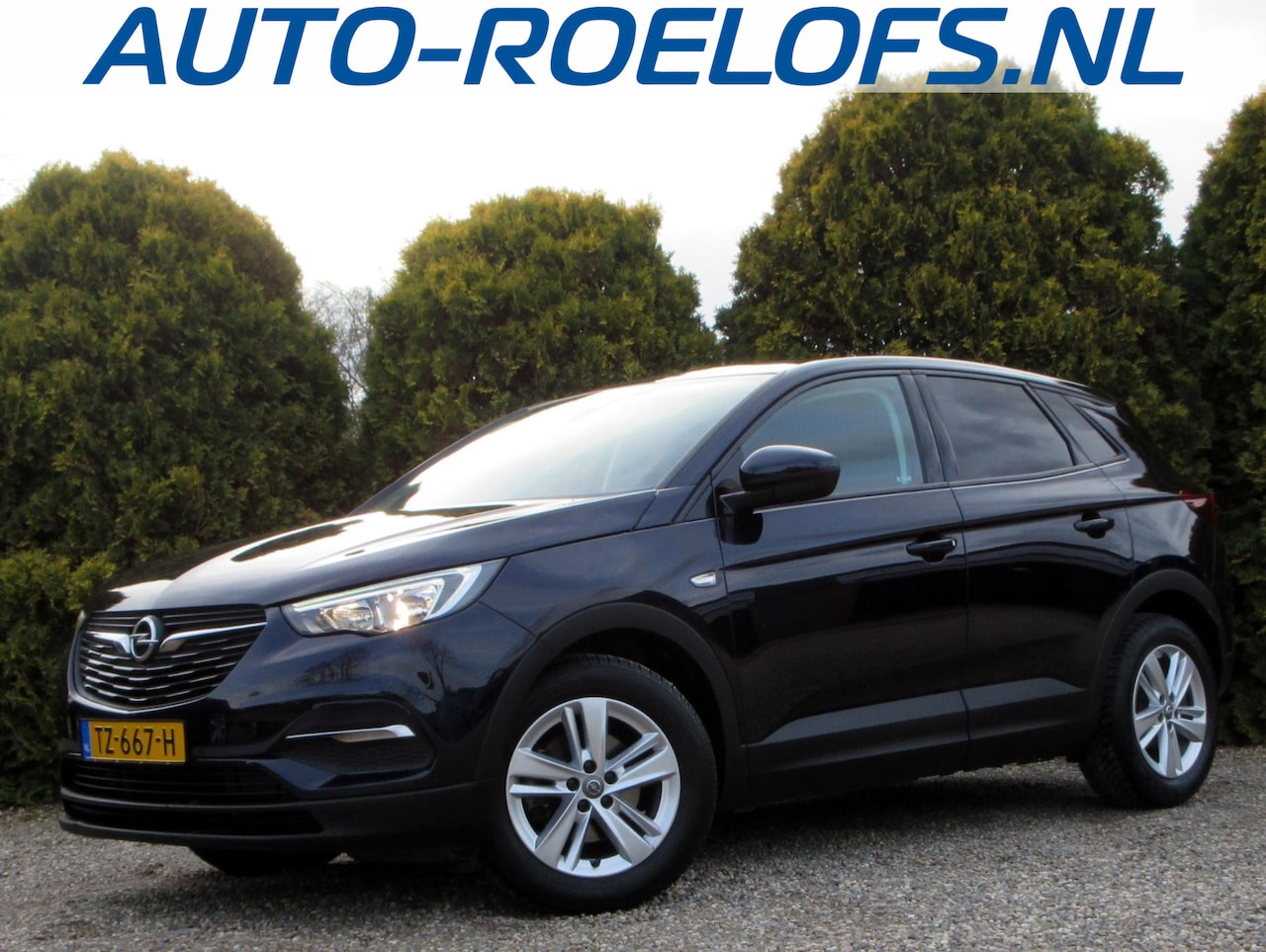 Opel Grandland X - 1.2 Turbo Online Edition *Trekhaak*Navi* - AutoWereld.nl