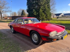 Jaguar XJS - 5.3 V12 Coupé