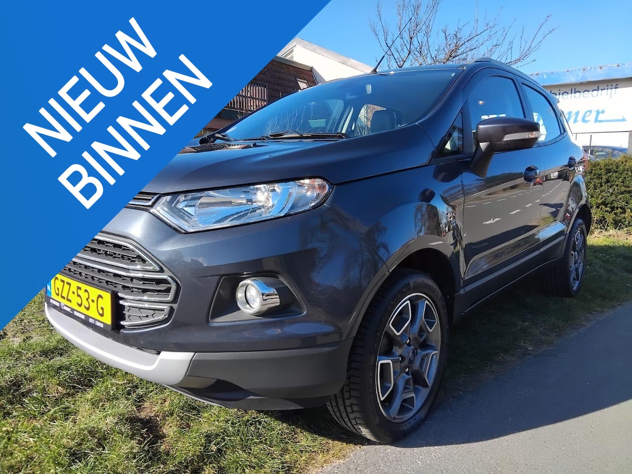 Ford EcoSport - 1.0 EcoBoost Titanium Lederen Bekleding, Sportvelgen, Cruise Control - AutoWereld.nl