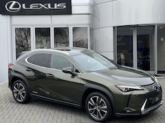 Lexus UX - 250h Comfort Line HUD EL-ACHTERKLEP TRIPLE-LED PARK-SENSOR