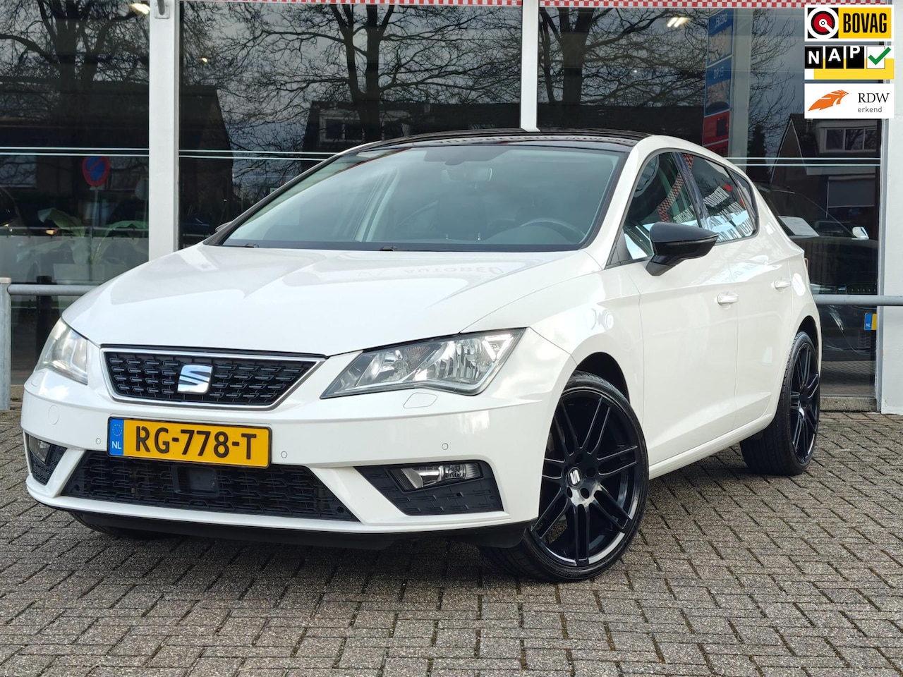 Seat Leon - 1.2 TSI Reference | Android Auto Apple Carplay | Cruise control | Climate Control | Stoelv - AutoWereld.nl