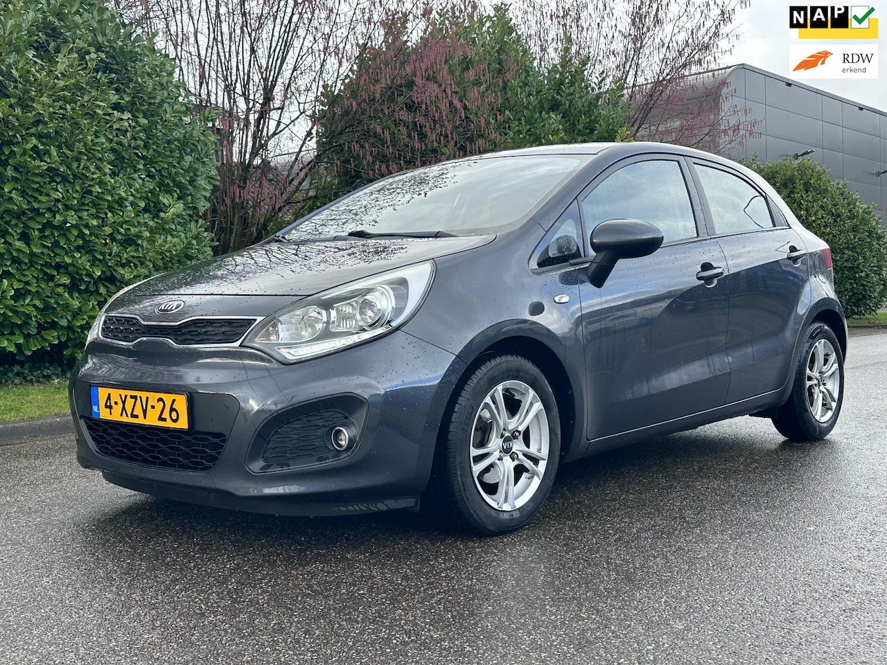 Kia Rio - 1.2 CVVT BusinessLine 5DR*Cruise*Airco*NAP*LM velgen*23-01-2026 APK*Dealer onderhouden*2e - AutoWereld.nl