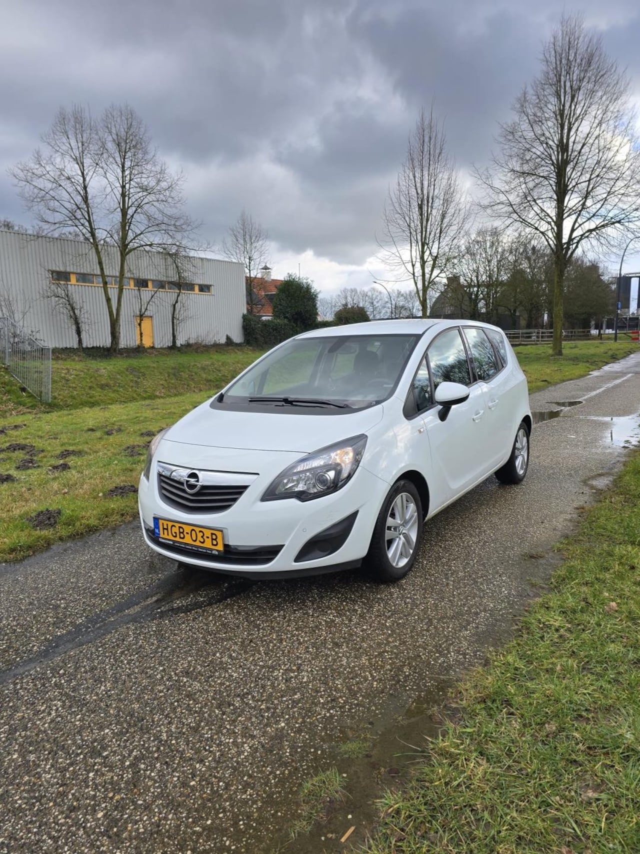 Opel Meriva - 1.4 Turbo Anniversary Edition 1.4 Turbo Anniversary Edition - AutoWereld.nl