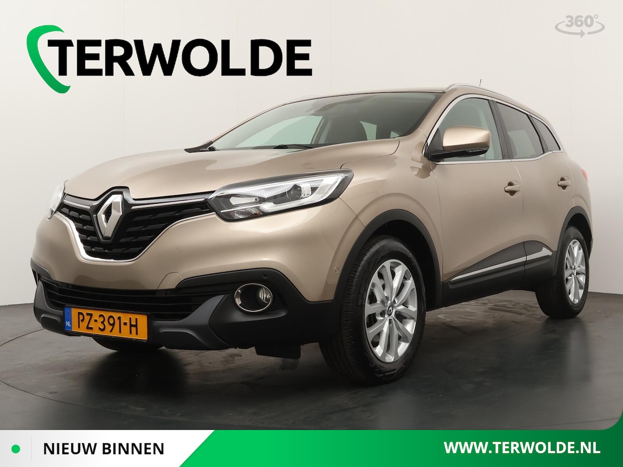 Renault Kadjar - 1.2 TCe Intens Trekhaak - AutoWereld.nl