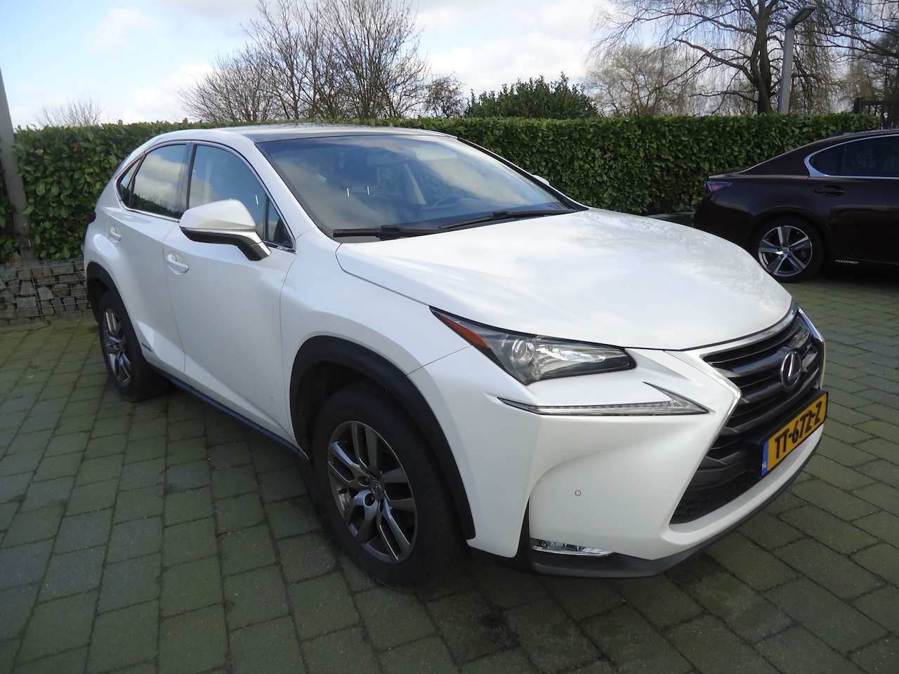 Lexus NX - 300h AWD Sport Edition - AutoWereld.nl