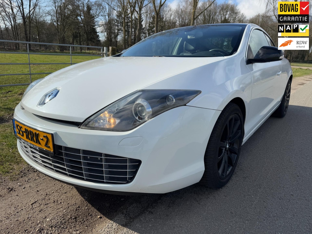 Renault Laguna Coupé - 2.0 16V T Monaco GP top onderhouden en 1ste eigenaar - AutoWereld.nl