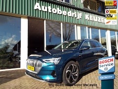 Audi e-tron - 50 quattro Business edition Plus 71 kWh TREKHAAK-DAK-BOVAG-NAP