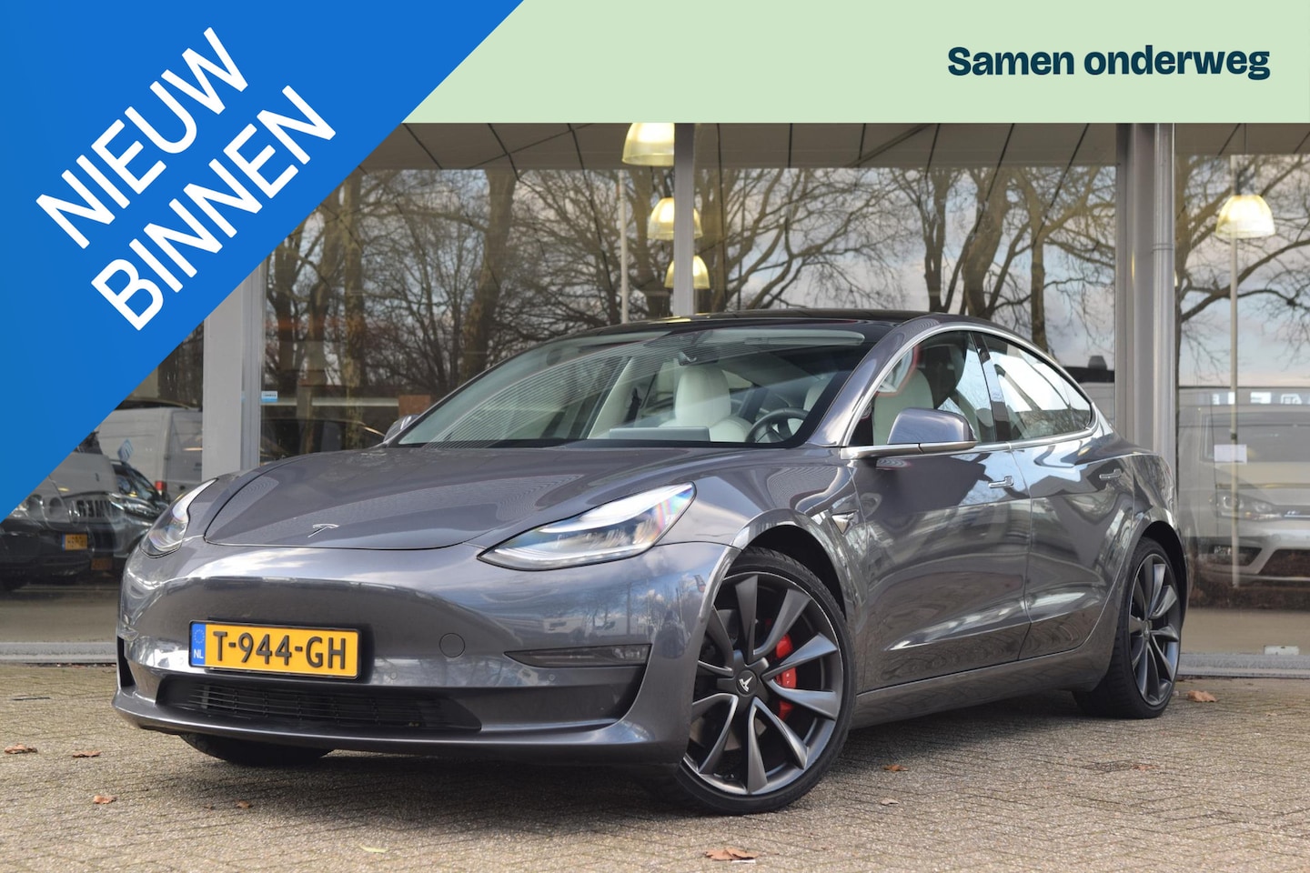 Tesla Model 3 - Performance AWD 75 kWh - AutoWereld.nl